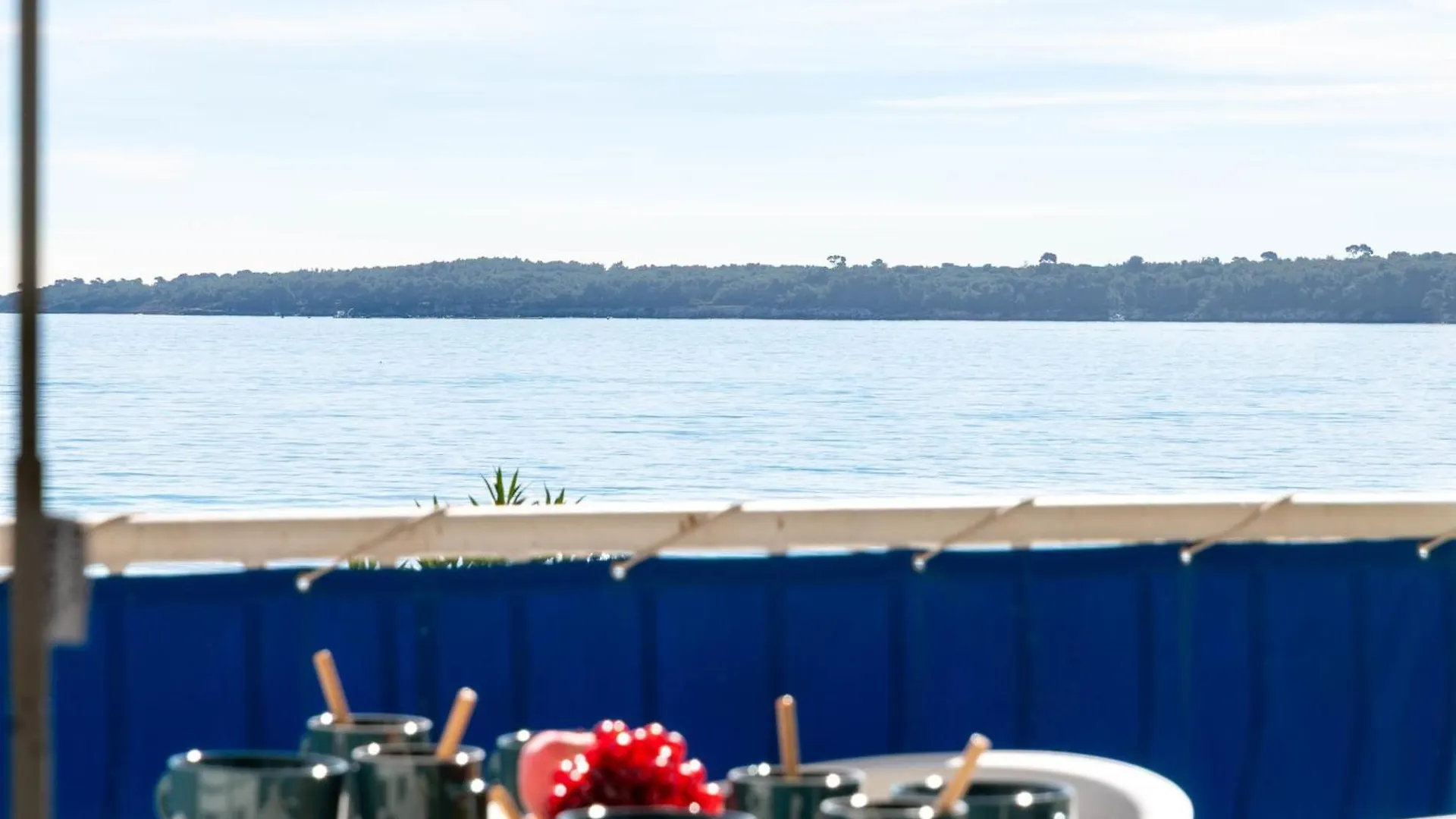 2-Br Seafront Apartment In Cannes France
